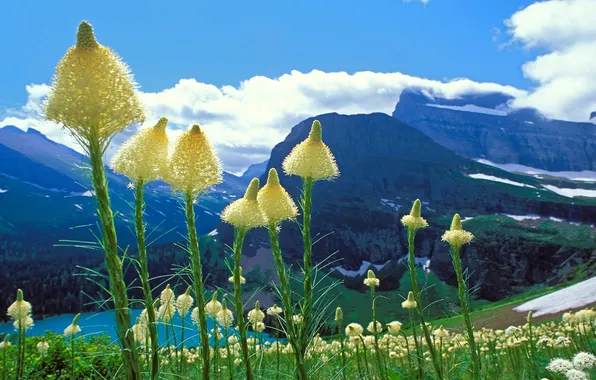 The sky, clouds, flowers, mountains, lake