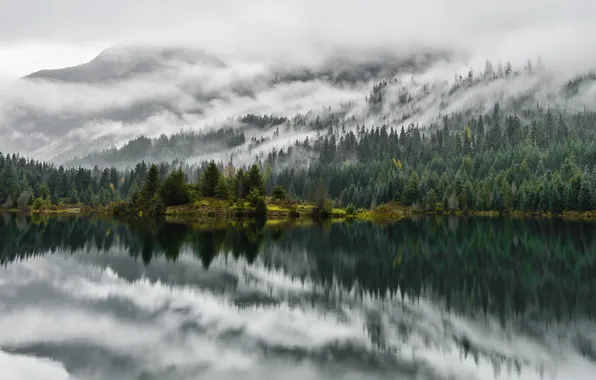 Clouds, trees, mountains, lake, reflection, mirror, pine