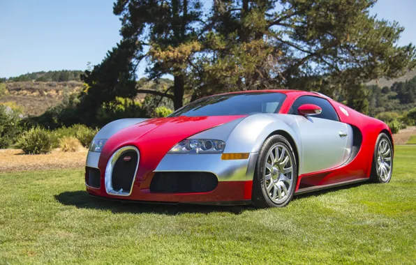 Picture veyron, silver, red, bugatti, lawn