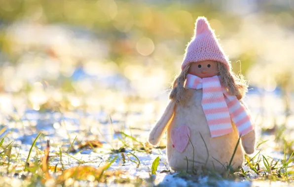Winter, grass, light, snow, glade, toy, spring, doll