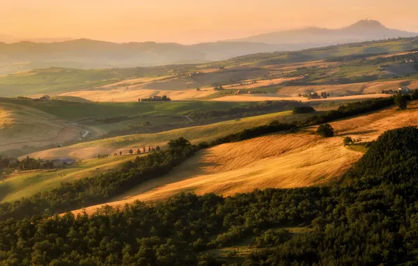 Trees, hills, field, Italy, houses, Tuscany