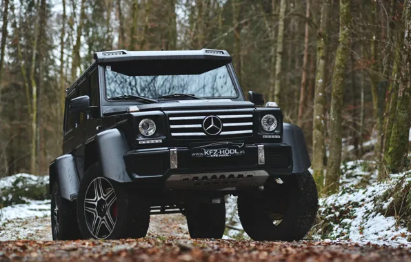 Picture Mercedes - Benz, G500, W463, 4X4