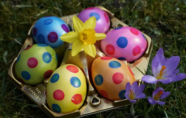 Grass, flowers, holiday, glade, eggs, spring, Easter, crocuses