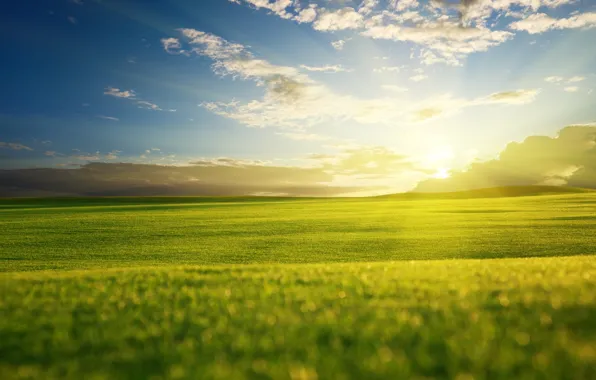 Picture greens, field, the sky, grass, the sun, clouds, rays, light