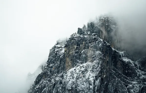 Picture the sky, snow, trees, mountains, nature, fog, rocks, Alps