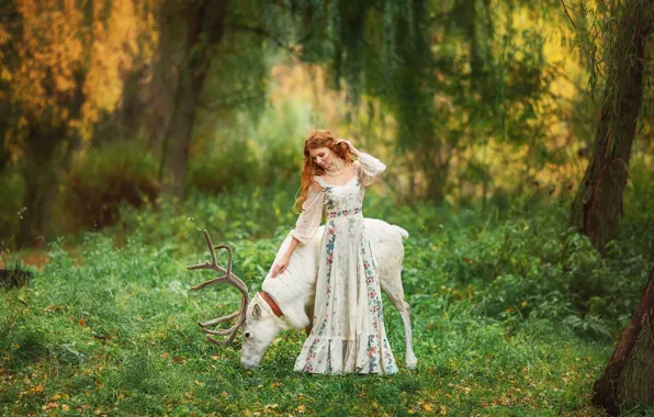 Picture forest, summer, girl, nature, animal, deer, dress, red