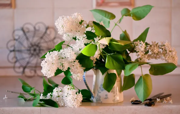 Picture bouquet, lilac, scissors