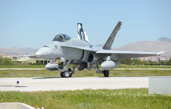 Picture fighter, Hornet, F-18C, McDonnell Douglas