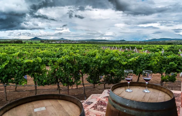 Greens, clouds, mountains, field, glasses, Mexico, vineyard, the bushes