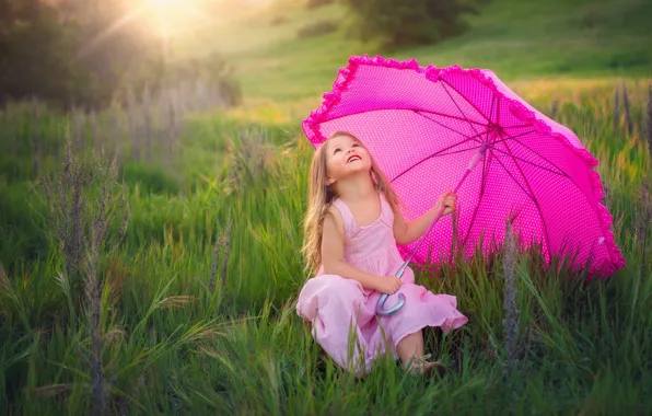 Greens, field, summer, grass, look, the sun, rays, joy