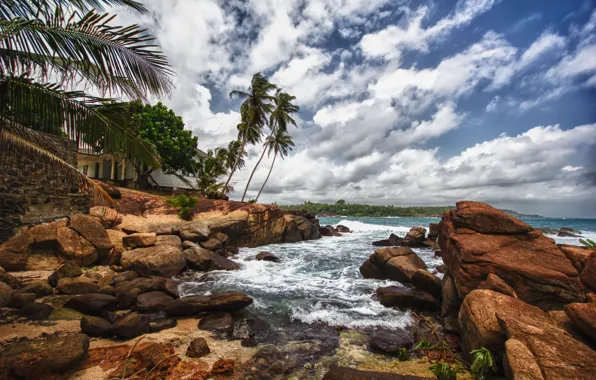 Picture beach, stones, palm trees, Sri Lanka
