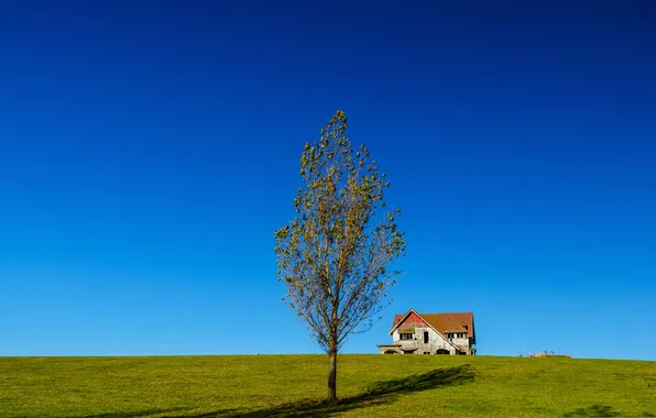 Picture the sky, grass, house, tree, hill
