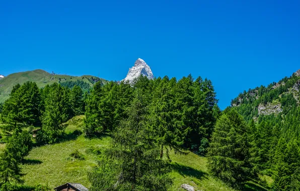 Picture greens, summer, the sky, the sun, trees, mountains, blue, Switzerland