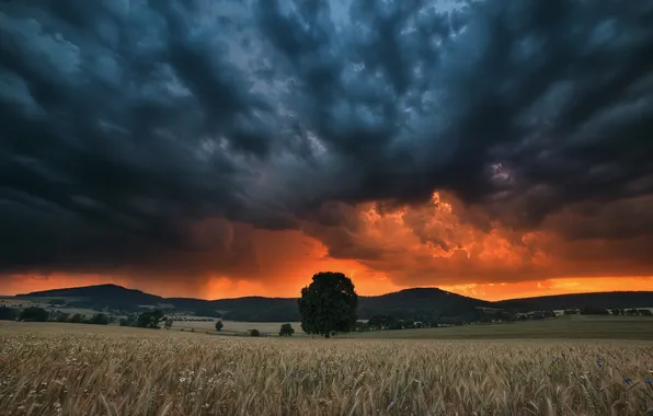 Field, sunset, clouds