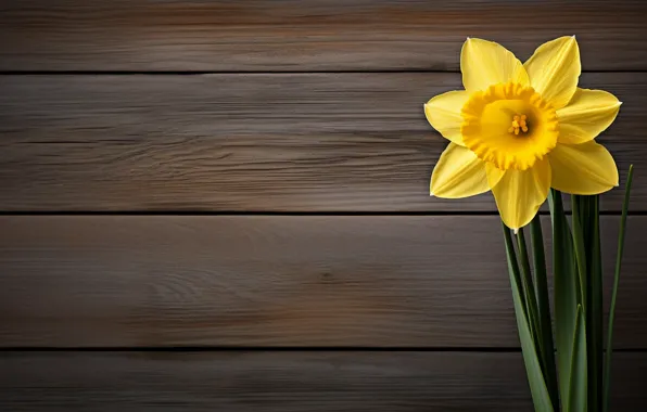 Flower, Board, spring, Narcissus, AI art, neural network