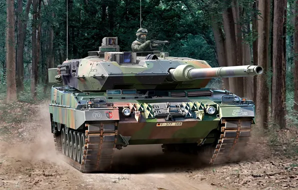 Picture Germany, Forest, Leopard 2A6, main battle tank, The Bundeswehr, Leopard 2, NATO-I TAKE