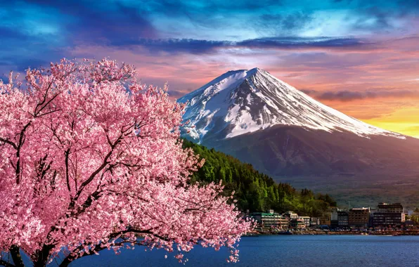 Picture river, spring, Japan, Sakura, Japan, flowering, mount Fuji, river