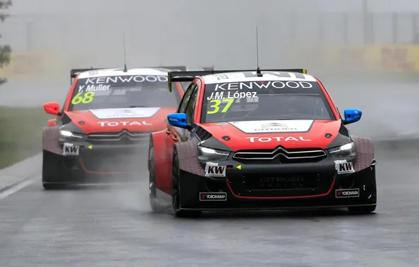 Citroen, Citroen, WTCC, Lopez, Damp, C-Elycee