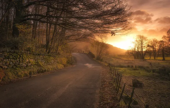 Picture road, sunset, nature