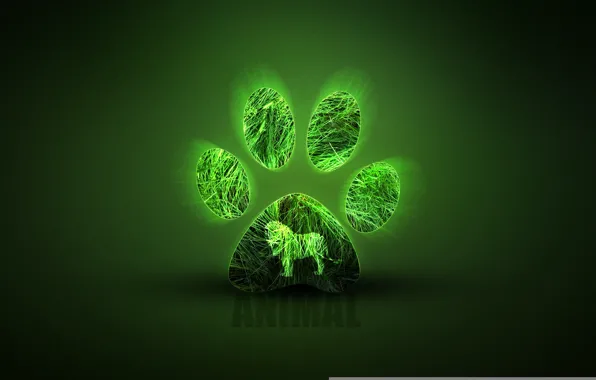 Animals, Texture, Texture, Animal