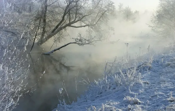 Winter, snow, fog, river