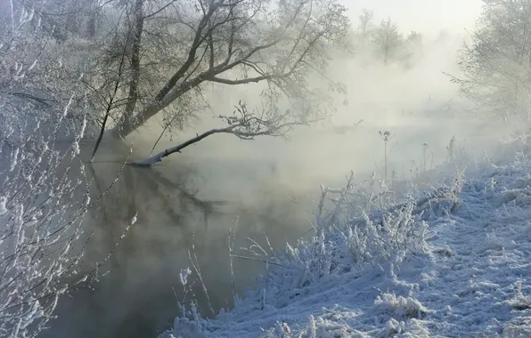 Picture winter, snow, fog, river