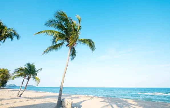 Sand, sea, wave, beach, summer, the sky, palm trees, shore