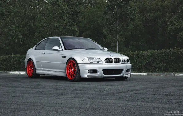 Forest, asphalt, BMW, BMW, grey, E46