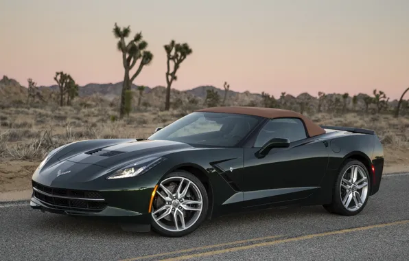 Corvette, Convertible, Stingray
