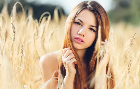 Field, look, portrait, spikelets, Delaiah Gonzalez