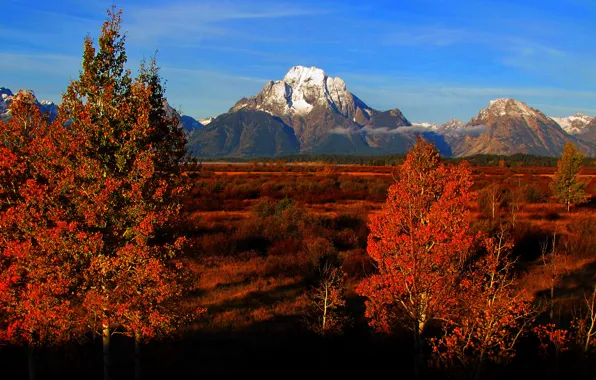 Picture autumn, the sky, trees, mountains, Wyoming, USA, Grand Teton National Park