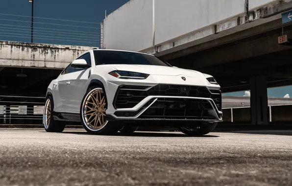 Picture Lamborghini, White, SUV, Urus, Face, VAG