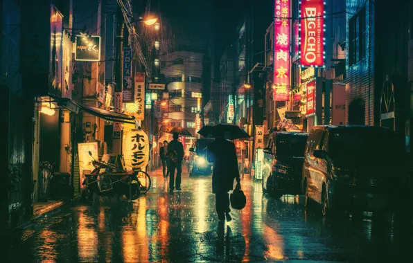 Picture people, rain, street, neon, umbrellas, cars, stores, city center