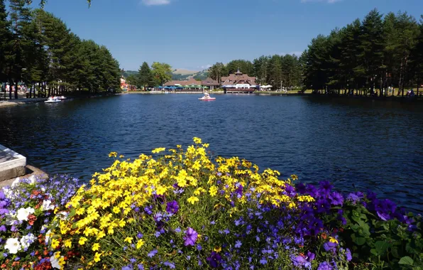 Picture flowers, Serbia, The Lake Zlatibor
