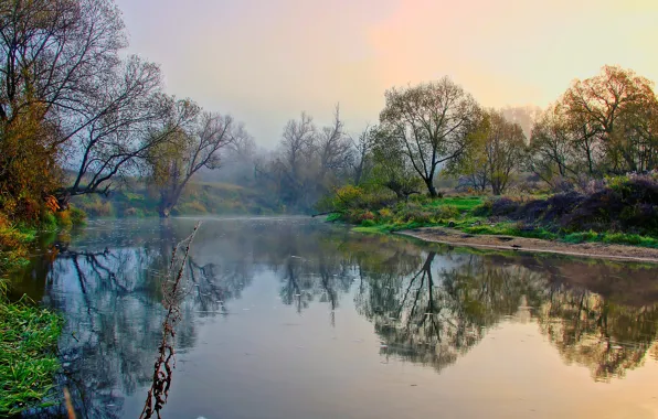 Autumn, trees, fog, river, Bank
