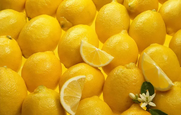 Picture flower, lemon, texture, Yellow, Texture, Lemons