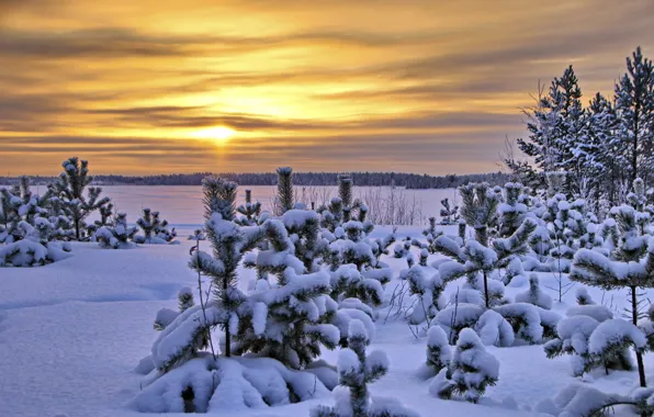 Winter, landscape, sunset