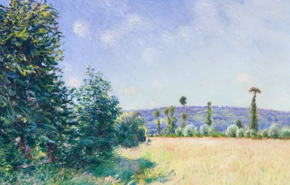 Landscape, picture, Alfred Sisley, Alfred Sisley, Sayur. Meadow in the Morning Sun