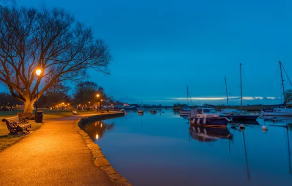 Trees, lights, river, England, yachts, the evening, lights, benches