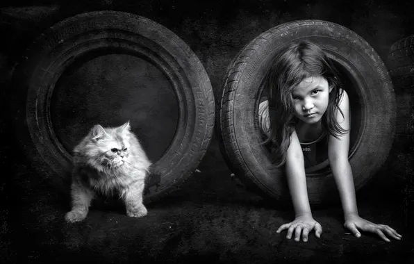 Cat, tires, girl