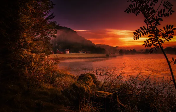Sunset, fog, river, shore, Norway, Rogaland, Rogaland