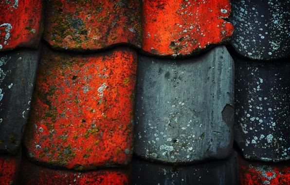 Roof, paint, black, texture, red, old, mold, Tile