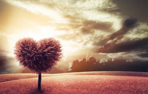 Picture tree, heart, meadow