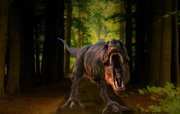 Picture Trees, Forest, Teeth, Mouth, Predator, Dinosaur, Animals, Raptor