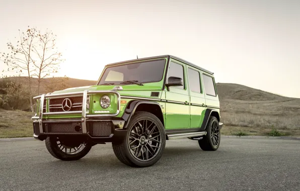 Picture Mercedes, Green, AMG, G63, W463
