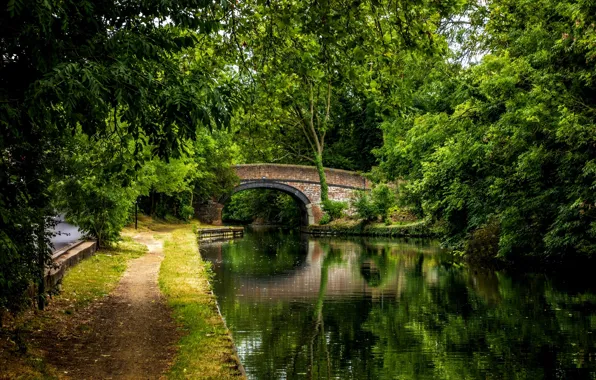 Picture forest, water, trees, bridge, nature, Park, river, view