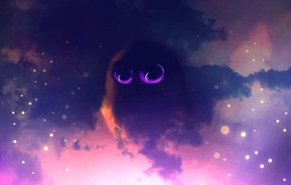 Picture the sky, space, nebula, owl