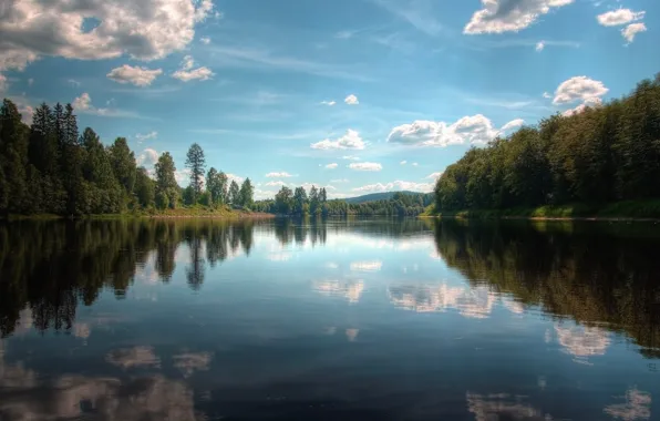 Trees, lake, reflection, 154