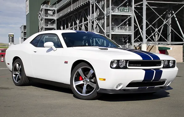 Dodge, Challenger, white, the front part, Edition, SRT8 392, Inaugural