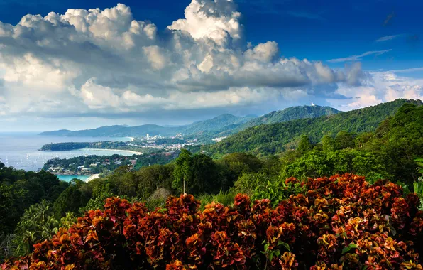 Picture forest, the sky, clouds, mountains, island, boats, village, Bay